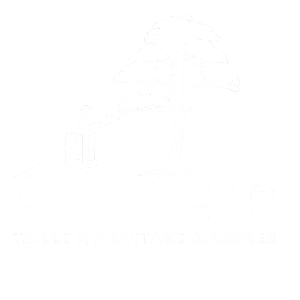 Élagage LS